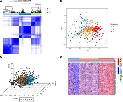 Characterization of cuproptosis in gastric cancer and relationship with clinical and drug reactions